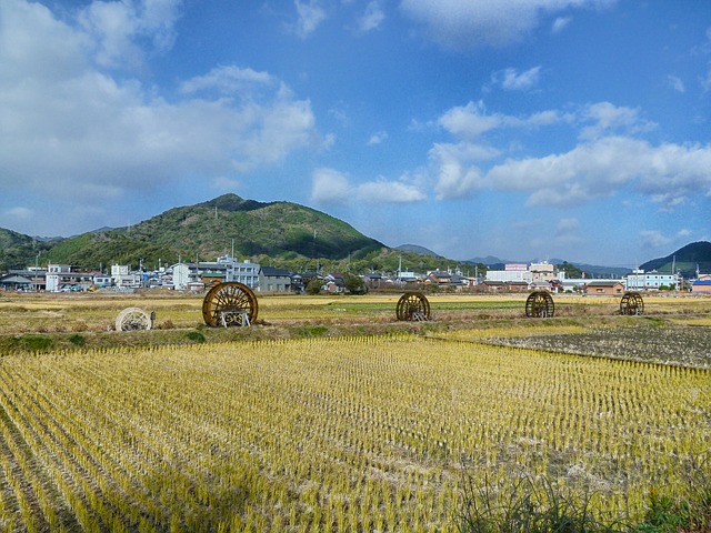 【保存版】絶望的な日本農業を変える方法を模索